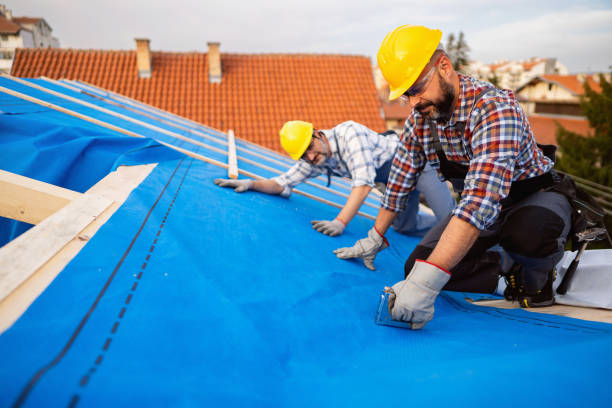 Emergency Roof Repair in La Homa, TX